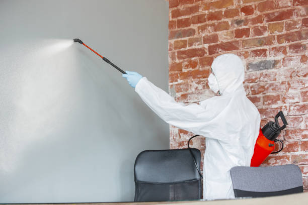  Boaz, AL Mold Removal Pros