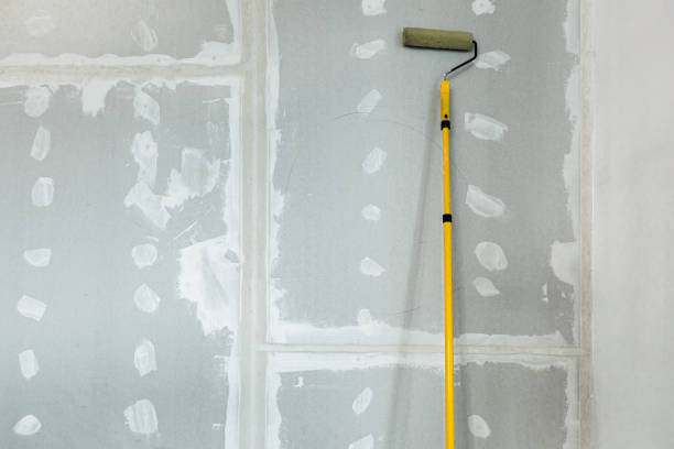 Reliable Boaz, AL Mold Removal Solutions